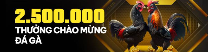2.500.000 VNĐ thưởng chào mừng Đá Gà